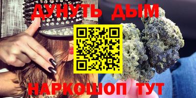 гидра Кинель